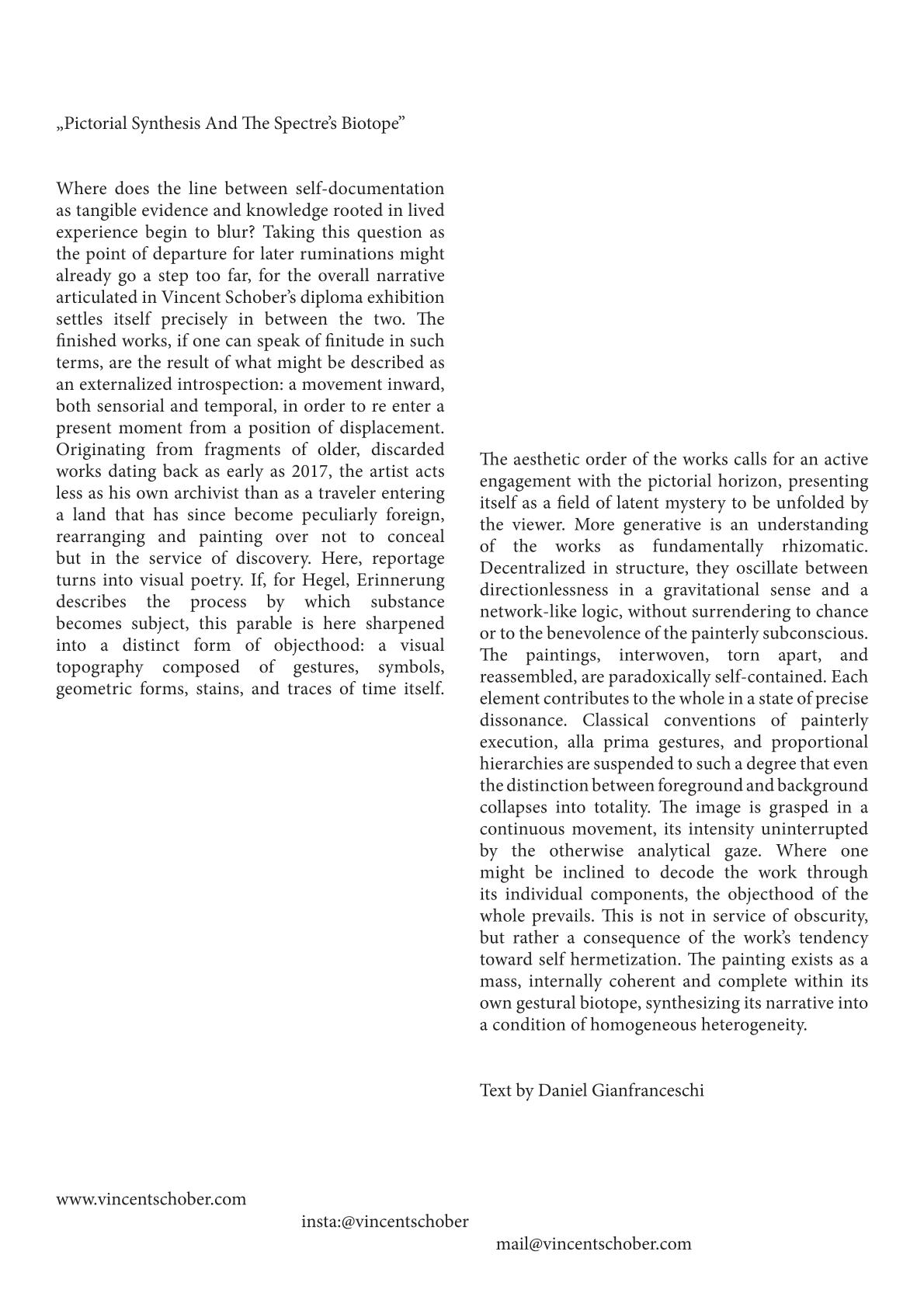 Diplom Schober final 2